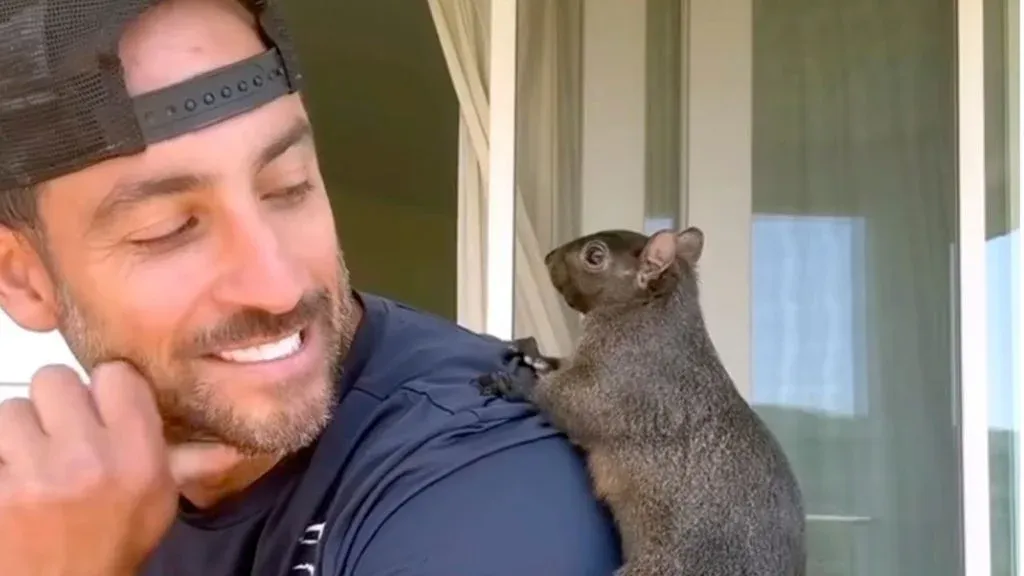 Dueños de Ardilla Viral Demandan a Nueva York por $10 Millones Tras Eutanasia de Mascotas